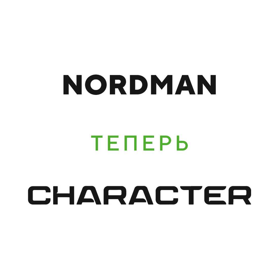 225/55  R17  Ikon (Nokian Tyres) Nordman SZ2 (Character Ultra) 101W Вид 2